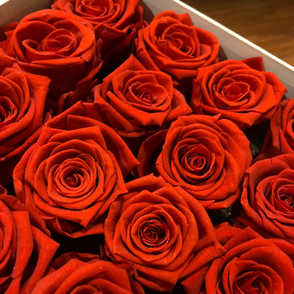 Sold❤️ Premier Forever 🌹 Roses - Picture 2 of 3